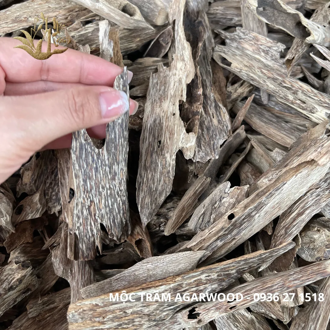 Natural Vietnamese Kien Xi Agarwood Chips – Resinous Oud Pieces (Multiple Weights Available)